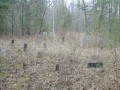 White Family Cemetery 1 * 2272 x 1704 * (460KB)